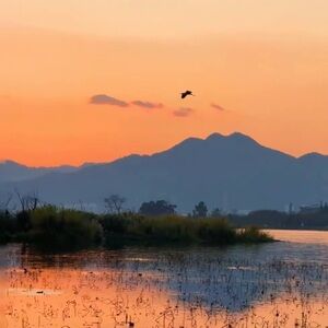 Meet your Posher, Avilo